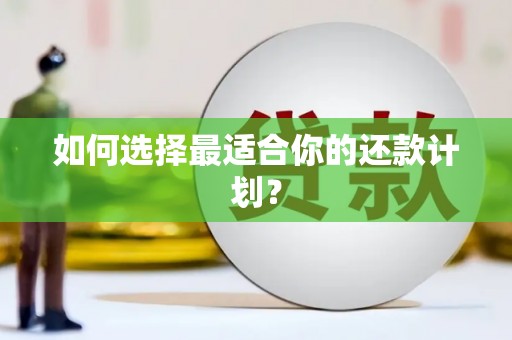 南山如何选择最适合你的还款计划？