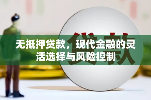 南山无抵押贷款，现代金融的灵活选择与风险控制
