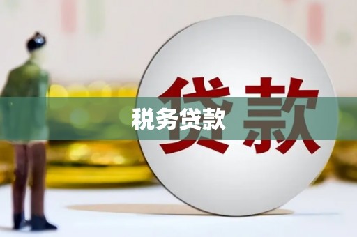 南山税务贷款