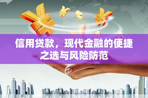 南山信用贷款，现代金融的便捷之选与风险防范