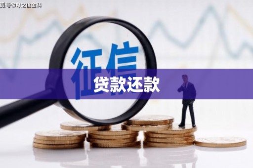 南山贷款还款