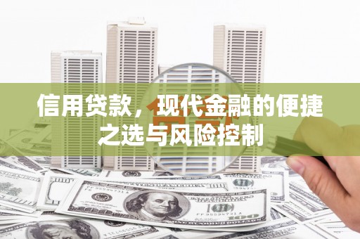 南山信用贷款，现代金融的便捷之选与风险控制