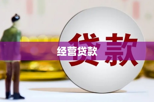 南山经营贷款