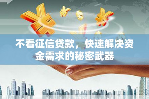南山不看征信贷款，快速解决资金需求的秘密武器