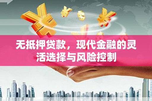 南山无抵押贷款，现代金融的灵活选择与风险控制