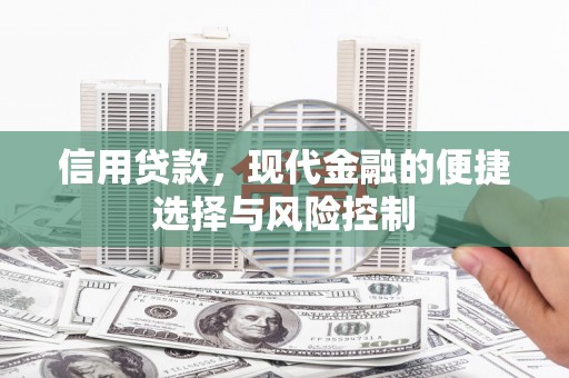 南山信用贷款，现代金融的便捷选择与风险控制