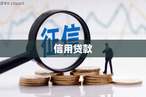 南山信用贷款
