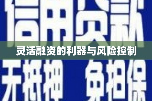 南山灵活融资的利器与风险控制