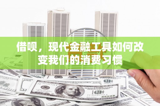 南山借呗，现代金融工具如何改变我们的消费习惯