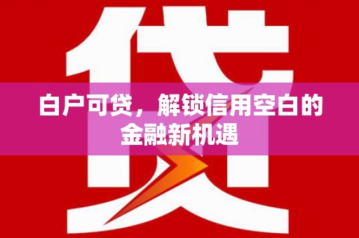 南山白户可贷，解锁信用空白的金融新机遇