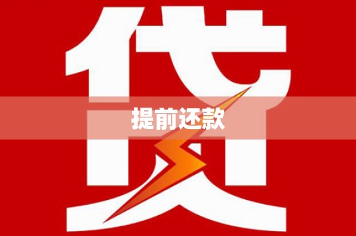 南山提前还款