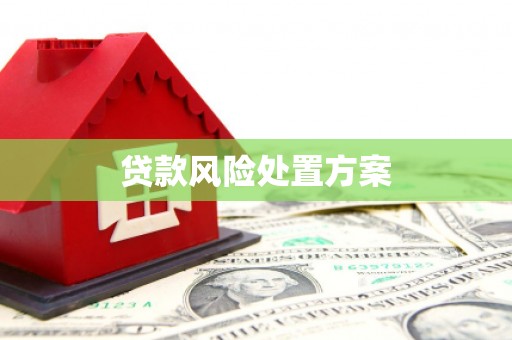 南山贷款风险处置方案