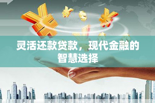 南山灵活还款贷款，现代金融的智慧选择
