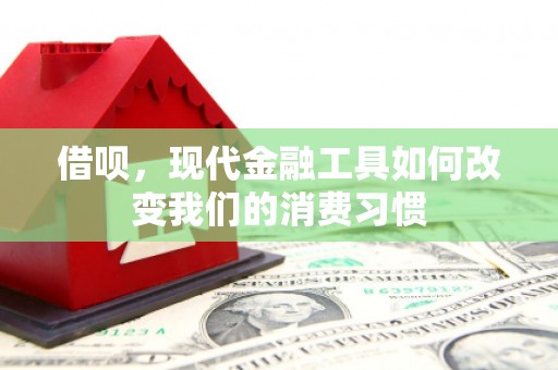 南山借呗，现代金融工具如何改变我们的消费习惯