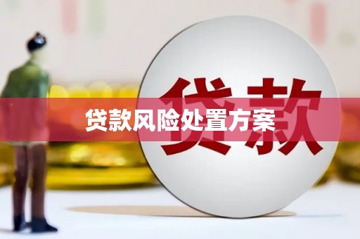南山贷款风险处置方案