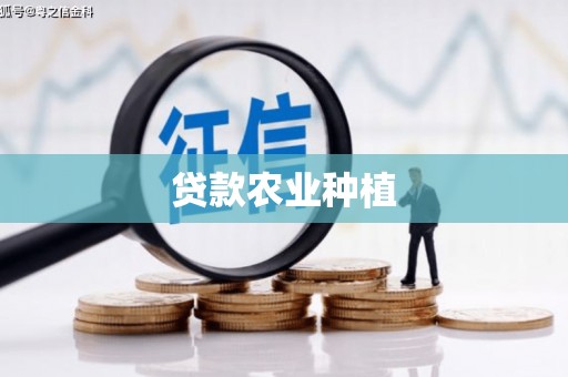 南山贷款农业种植