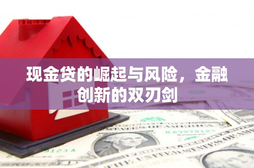 南山现金贷的崛起与风险，金融创新的双刃剑