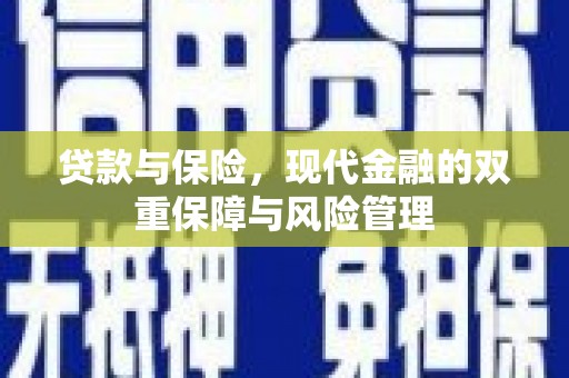 南山贷款与保险，现代金融的双重保障与风险管理