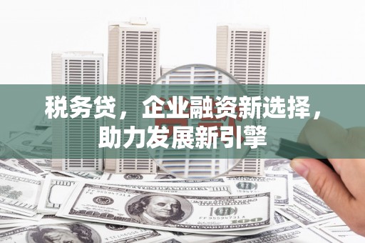 南山税务贷，企业融资新选择，助力发展新引擎