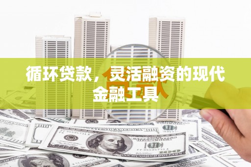 南山循环贷款，灵活融资的现代金融工具