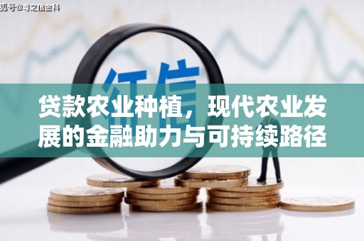 南山贷款农业种植，现代农业发展的金融助力与可持续路径