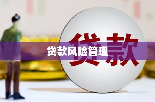 南山贷款风险管理
