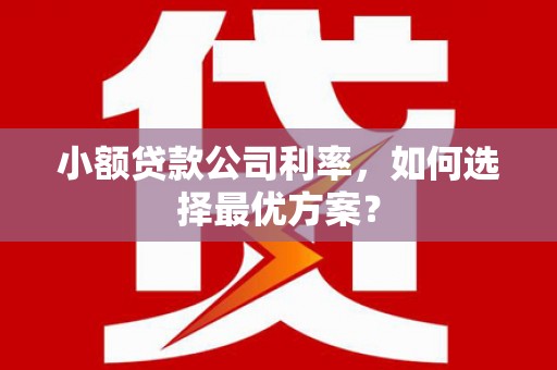 南山小额贷款公司利率，如何选择最优方案？