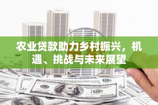 南山农业贷款助力乡村振兴，机遇、挑战与未来展望
