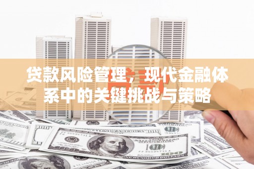 南山贷款风险管理，现代金融体系中的关键挑战与策略