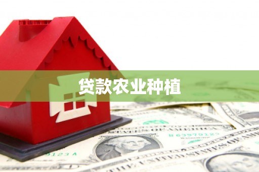 南山贷款农业种植