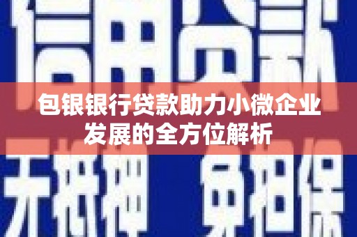 南山包银银行贷款助力小微企业发展的全方位解析