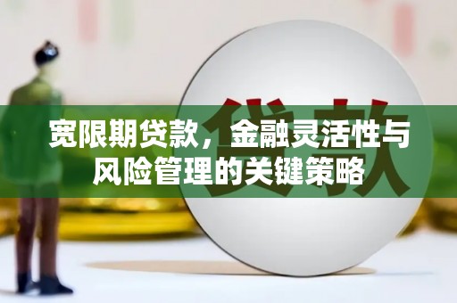 南山宽限期贷款，金融灵活性与风险管理的关键策略