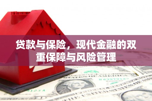 南山贷款与保险，现代金融的双重保障与风险管理