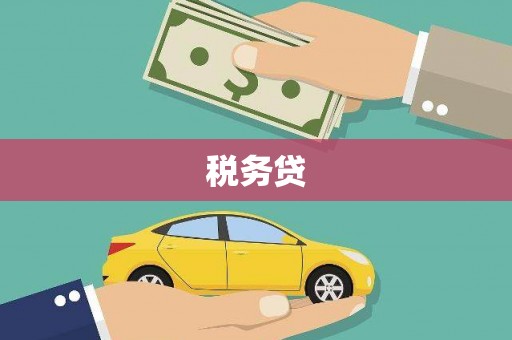 南山税务贷