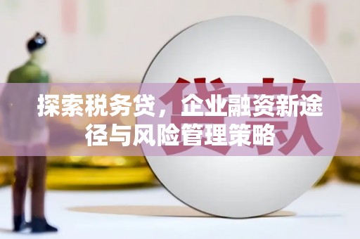 南山探索税务贷，企业融资新途径与风险管理策略