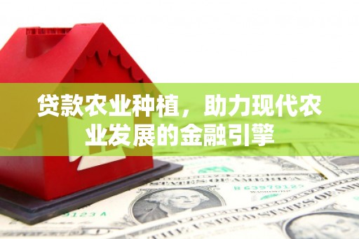 南山贷款农业种植，助力现代农业发展的金融引擎
