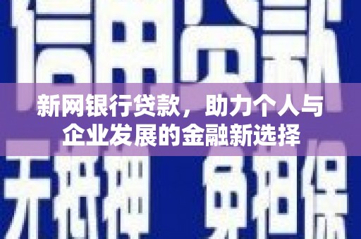 南山新网银行贷款，助力个人与企业发展的金融新选择