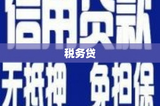 南山税务贷