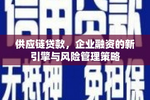 南山供应链贷款，企业融资的新引擎与风险管理策略