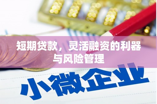 南山短期贷款，灵活融资的利器与风险管理