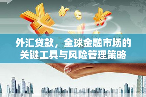 南山外汇贷款，全球金融市场的关键工具与风险管理策略