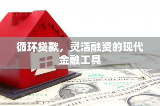 南山循环贷款，灵活融资的现代金融工具