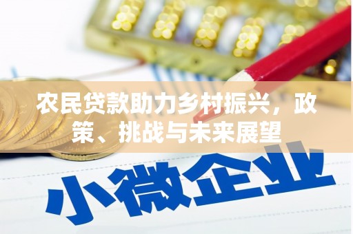 南山农民贷款助力乡村振兴，政策、挑战与未来展望