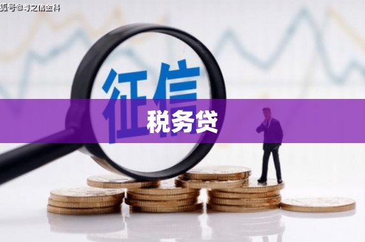 南山税务贷