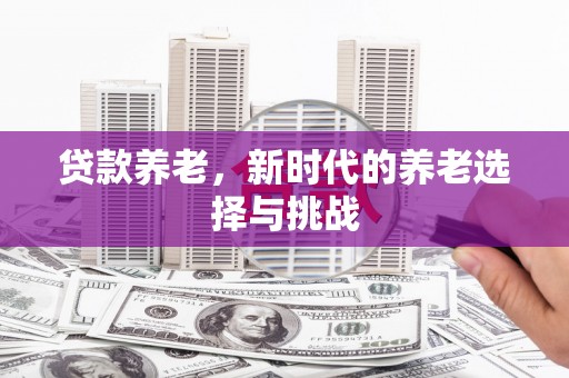 南山贷款养老，新时代的养老选择与挑战