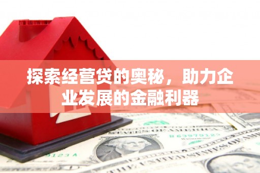 南山探索经营贷的奥秘，助力企业发展的金融利器