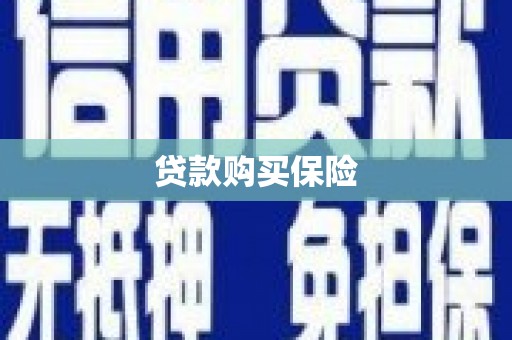 南山贷款购买保险