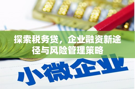 南山探索税务贷，企业融资新途径与风险管理策略