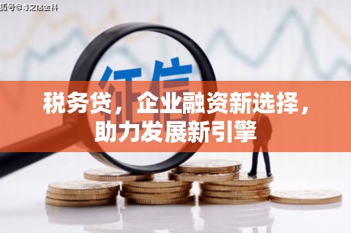 南山税务贷，企业融资新选择，助力发展新引擎