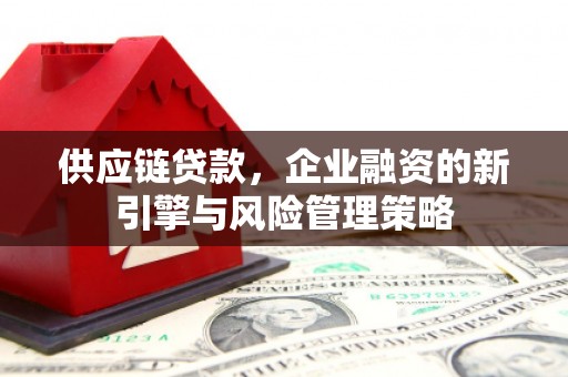 南山供应链贷款，企业融资的新引擎与风险管理策略